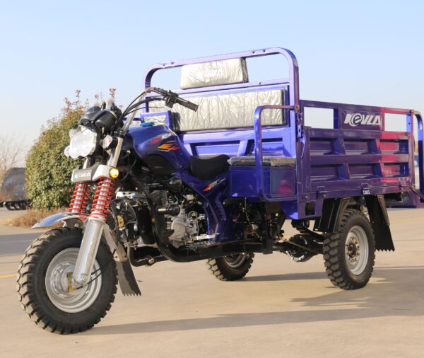 GC150-2 Cargo Tricycle