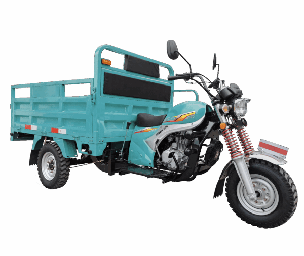 GC175-2 Cargo Tricycle