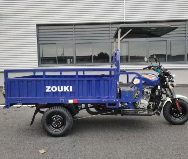 GC200-1 Cargo Tricycle