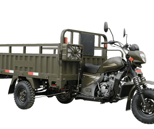 GC200-2 Cargo Tricycle