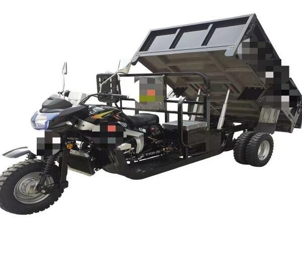GC350-1 Cargo Tricycle